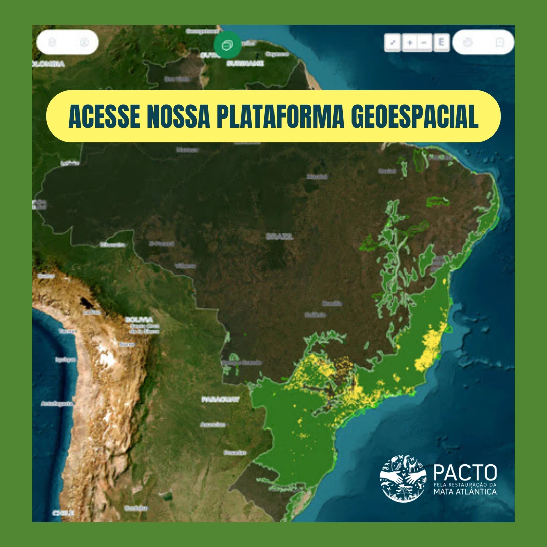 Plataforma Geoespacial